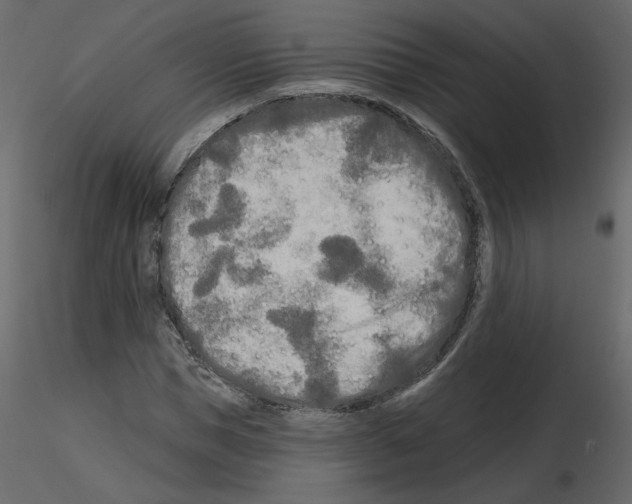 X0000115690921200912241458