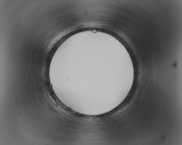X0000115690922200912241458