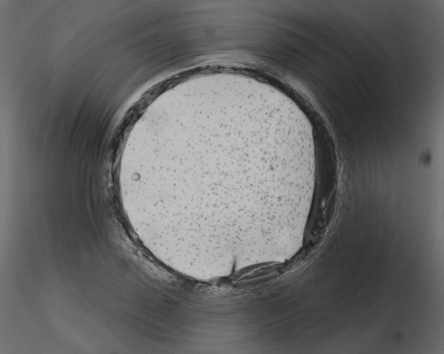 X0000115690923200912241458