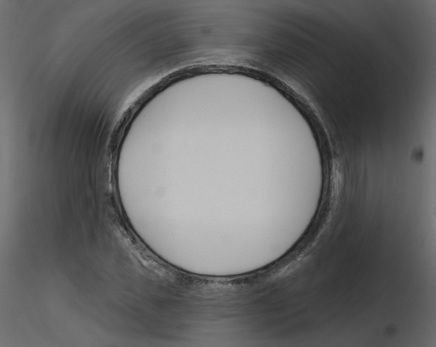 X0000115690925200912241458