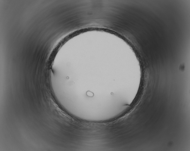 X0000115690926200912241458