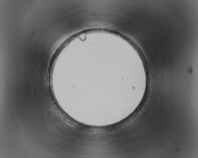 X0000115690927200912241458