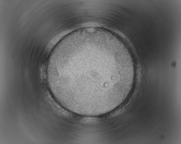 X0000115690929200912241459