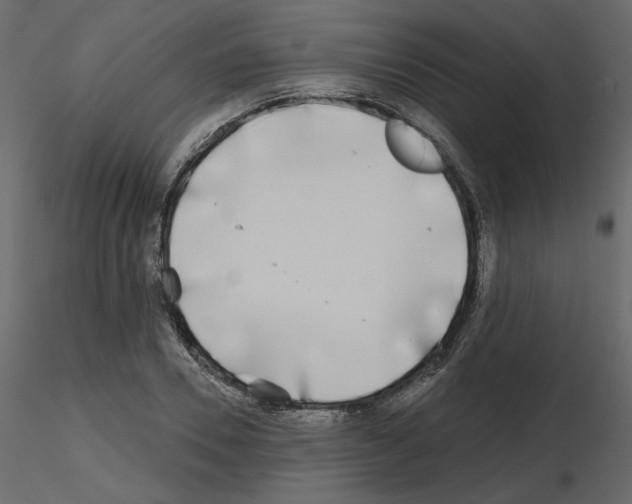 X0000115690930200912241459