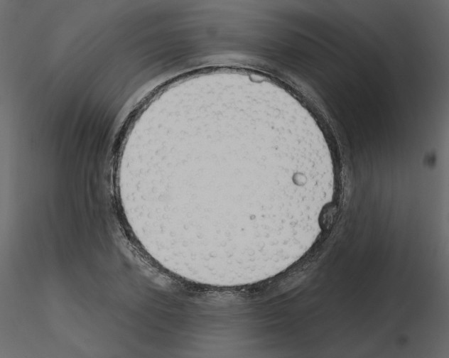 X0000115690931200912241459