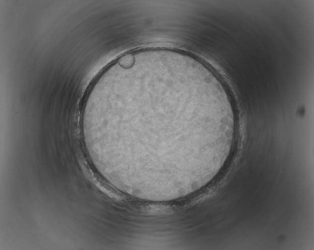 X0000115690933200912241459