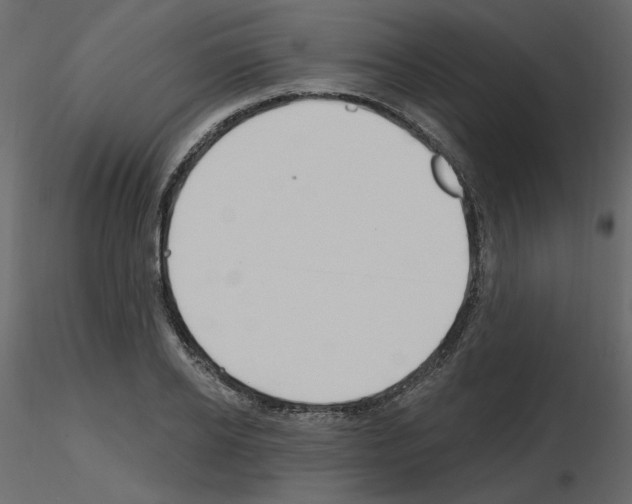 X0000115690934200912241459