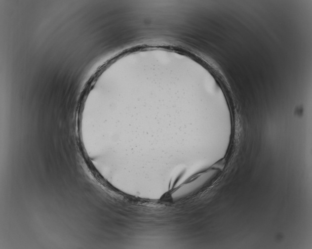X0000115690935200912241459