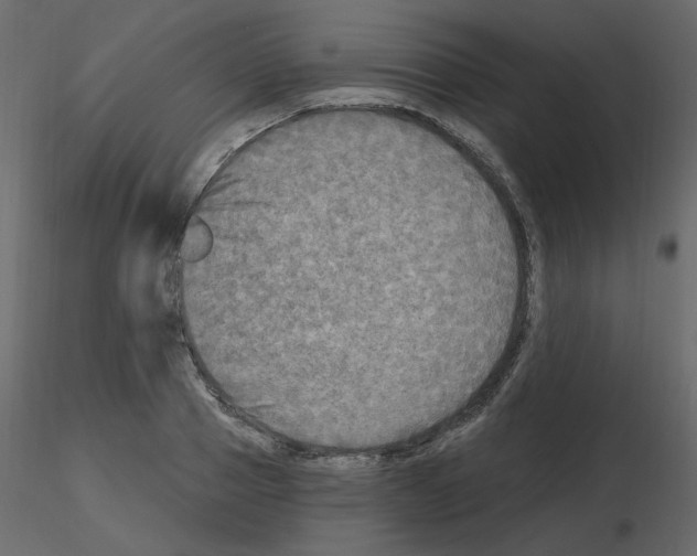 X0000115690937200912241459