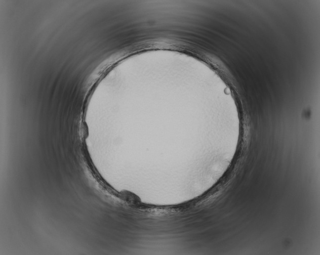 X0000115690938200912241459