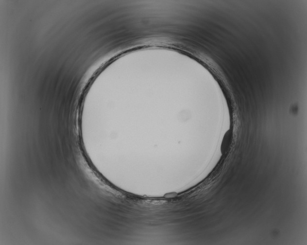 X0000115690939200912241459