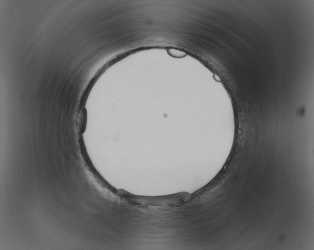 X0000115690942200912241459