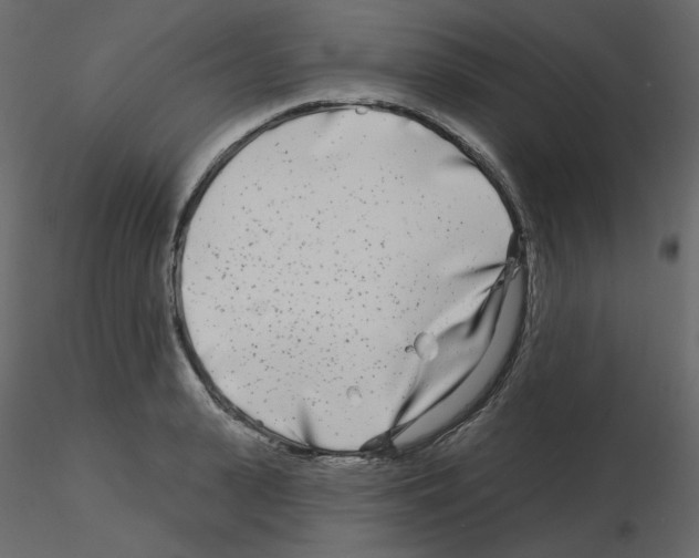 X0000115690943200912241459