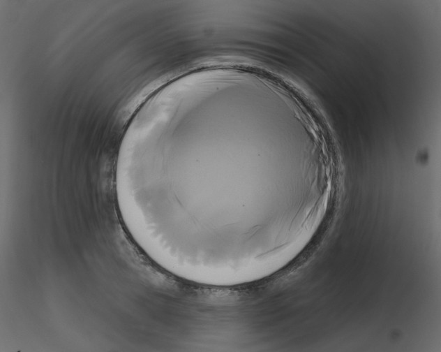 X0000115690945200912241459