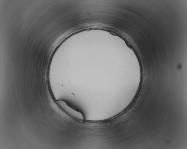X0000115690946200912241459