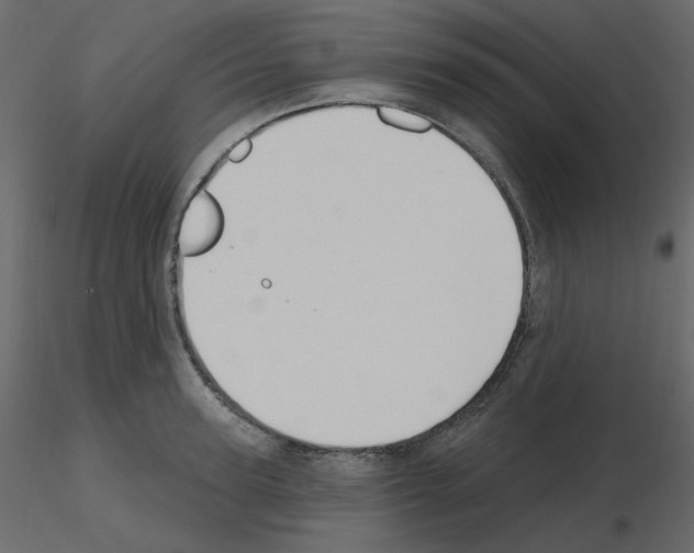 X0000115690947200912241459