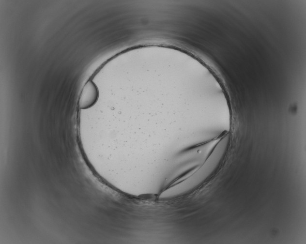 X0000115690951200912241459