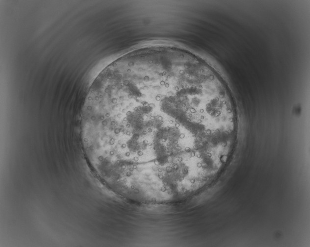 X0000115690953200912241459