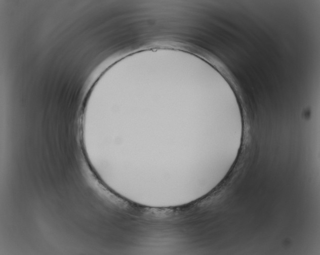 X0000115690955200912241459