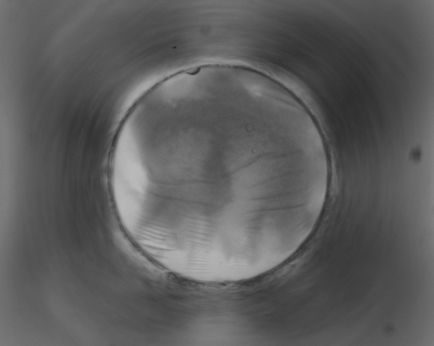 X0000115690958200912241459