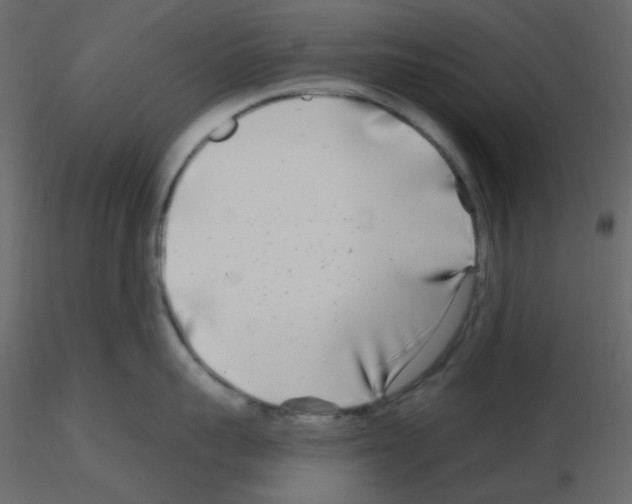 X0000115690959200912241459