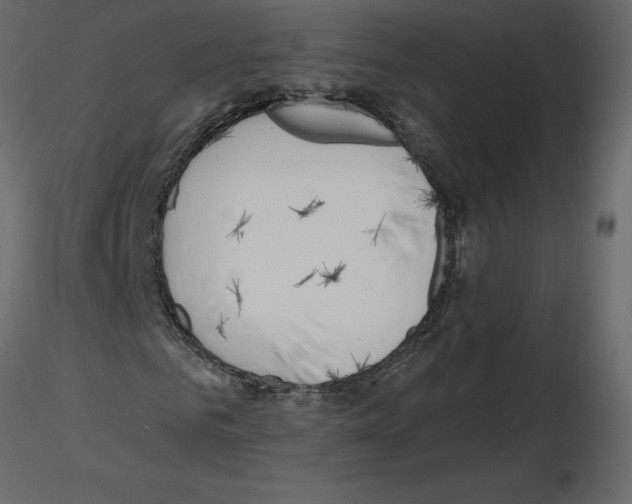 X0000115690961200912241458