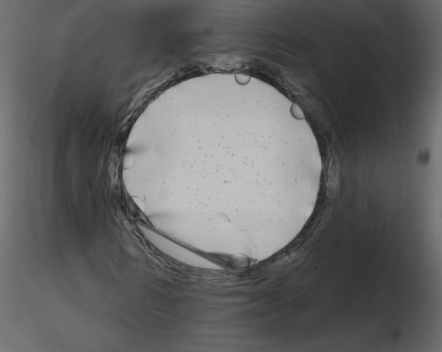 X0000115690962200912241458