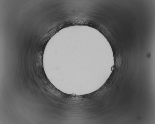 X0000115690964200912241458