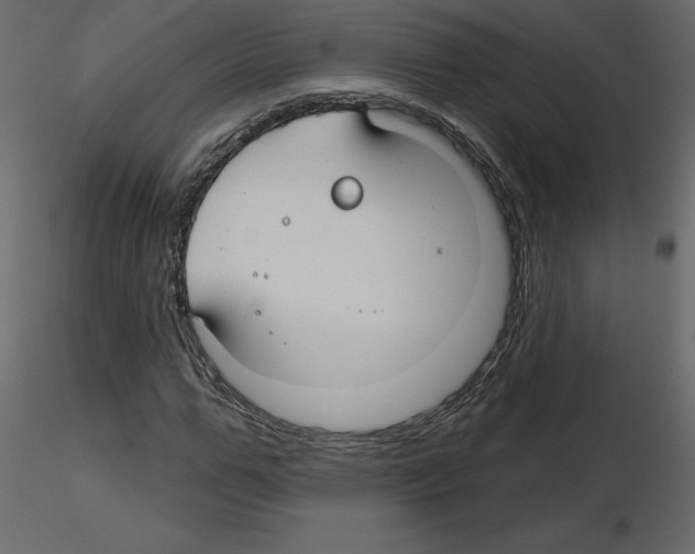 X0000115690967200912241458