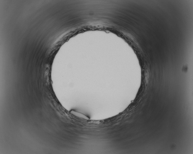 X0000115690968200912241458
