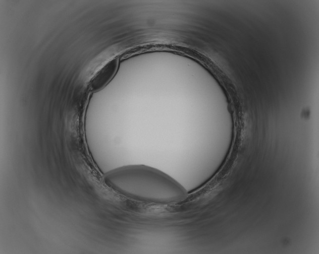 X0000115690969200912241458