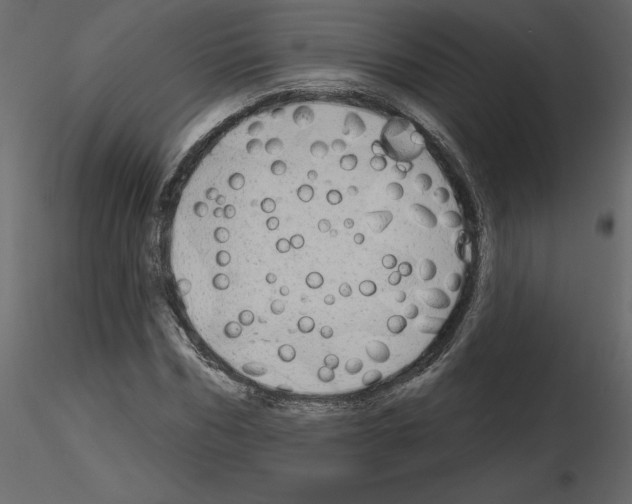 X0000115690970200912241458