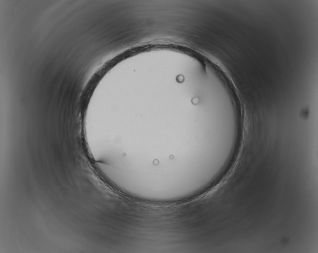 X0000115690973200912241458