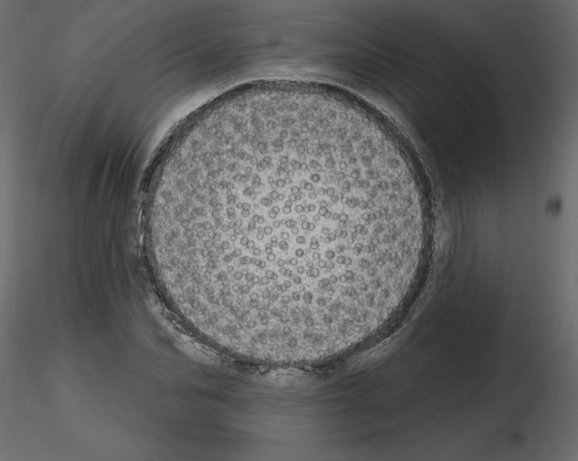 X0000115690974200912241458