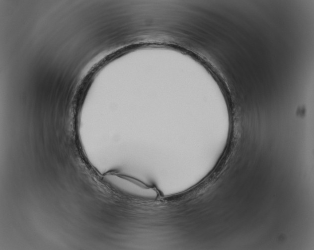 X0000115690975200912241458