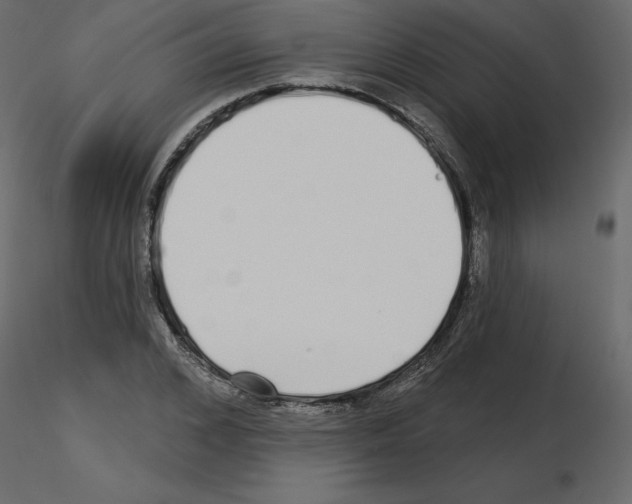 X0000115690976200912241458