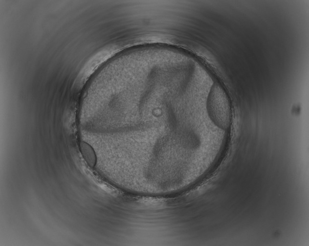 X0000115690977200912241458
