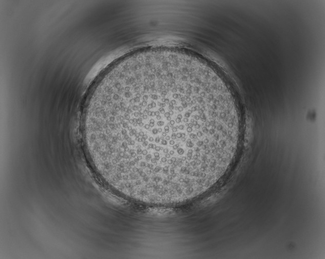 X0000115690978200912241458