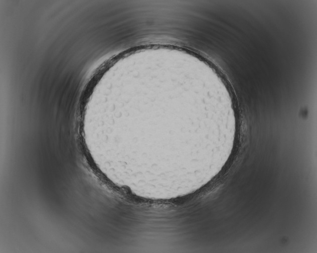 X0000115690979200912241458