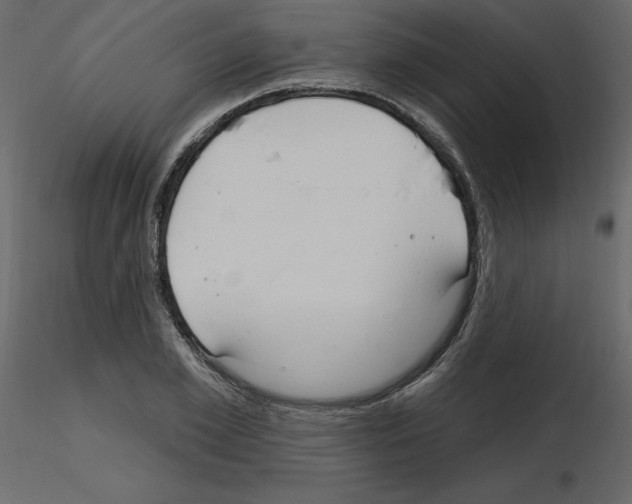 X0000115690981200912241458