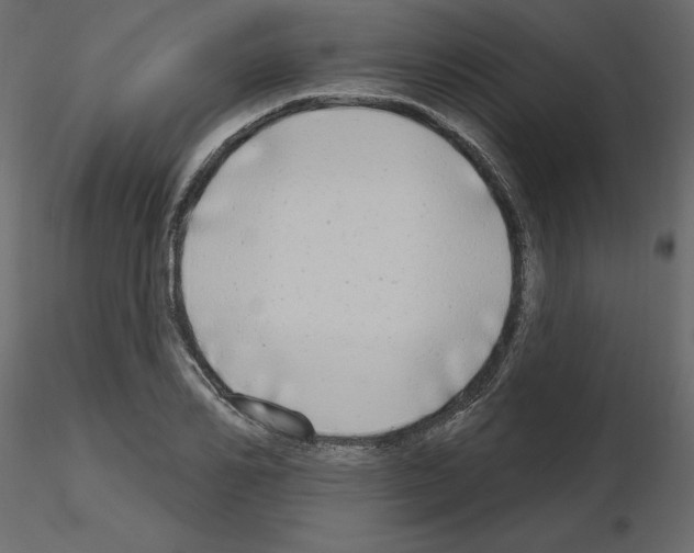 X0000115690982200912241458