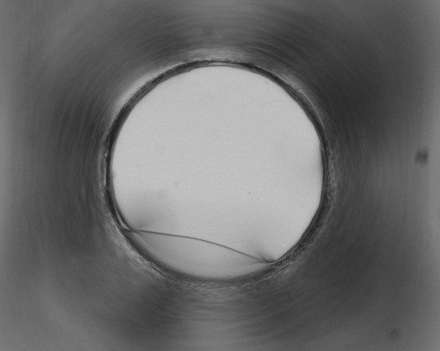 X0000115690983200912241458