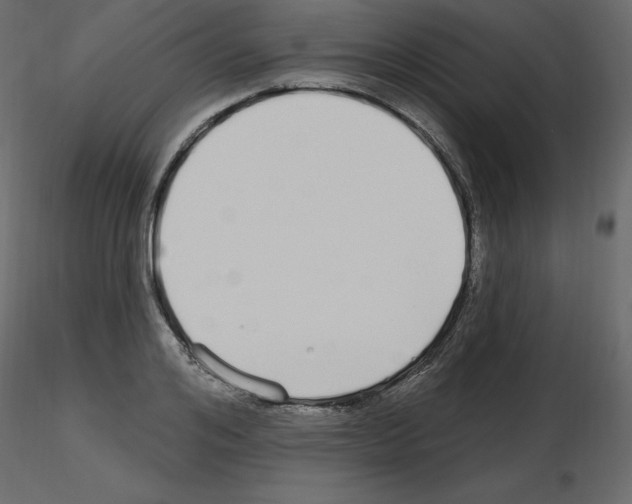 X0000115690984200912241458