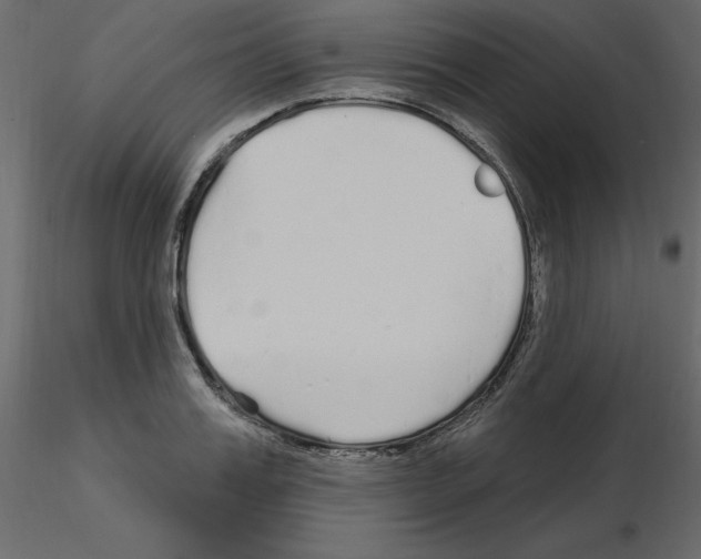 X0000115690987200912241458
