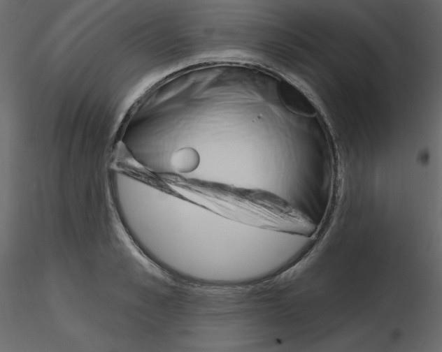 X0000115690989200912241458