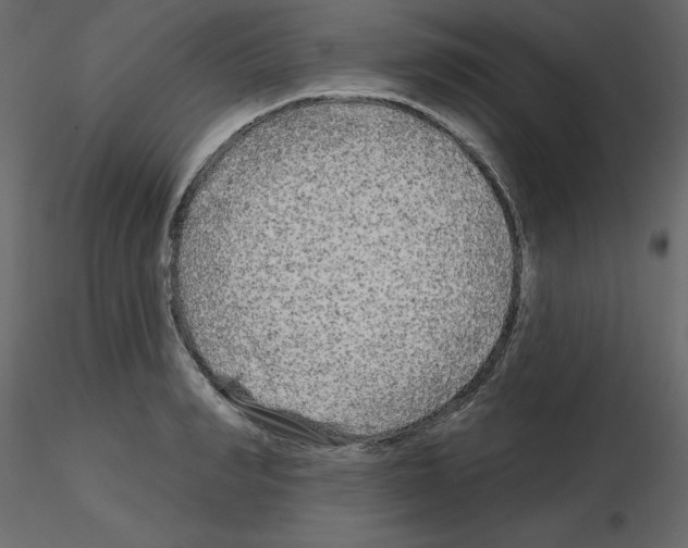 X0000115690990200912241458