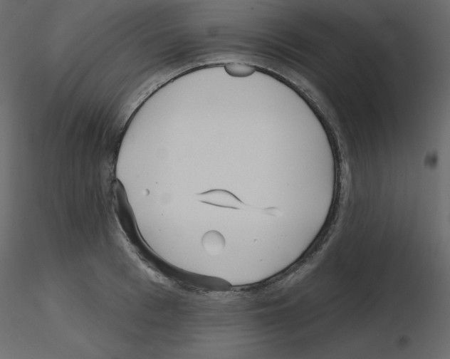X0000115690993200912241458