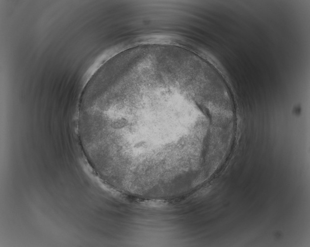 X0000115690994200912241458