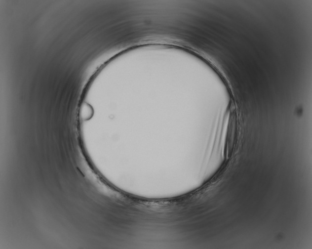 X0000115690995200912241458
