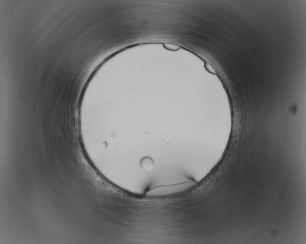 X0000115690996200912241458